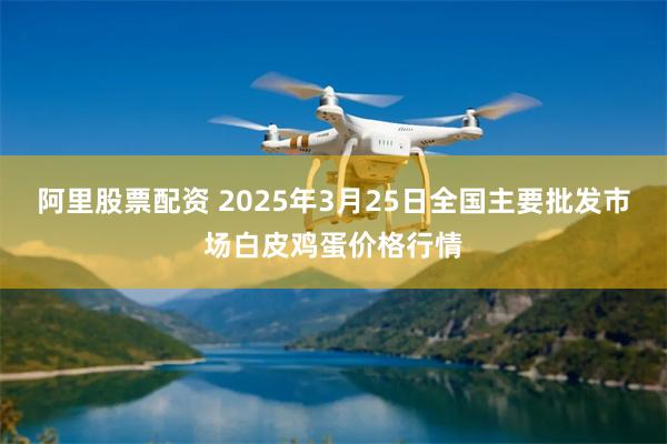 阿里股票配资 2025年3月25日全国主要批发市场白皮鸡蛋价格行情