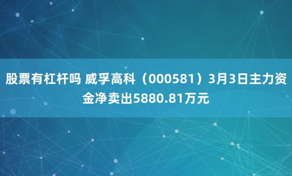 股票有杠杆吗 威孚高科（000581）3月3日主力资金净卖出5880.81万元