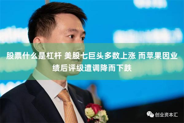 股票什么是杠杆 美股七巨头多数上涨 而苹果因业绩后评级遭调降而下跌