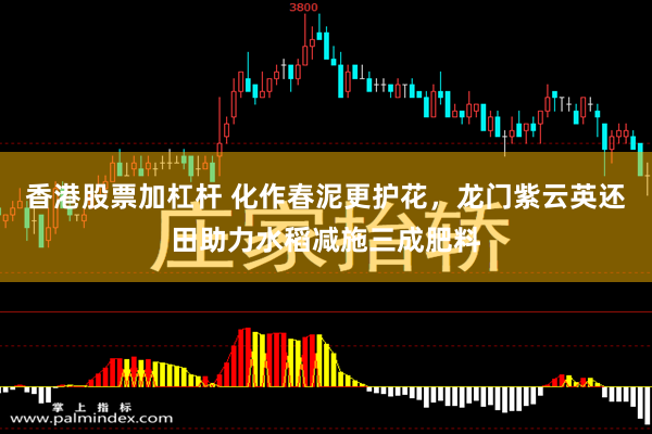 香港股票加杠杆 化作春泥更护花，龙门紫云英还田助力水稻减施三成肥料