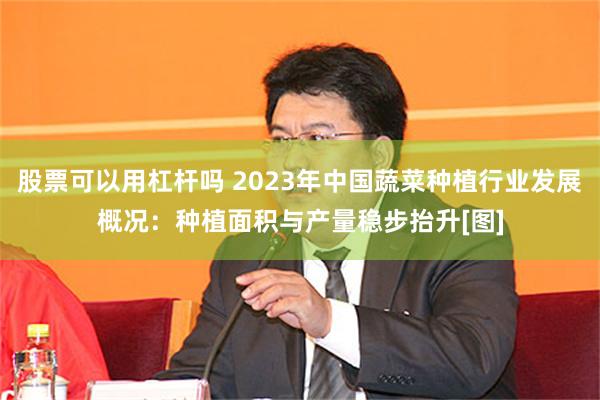 股票可以用杠杆吗 2023年中国蔬菜种植行业发展概况：种植面积与产量稳步抬升[图]