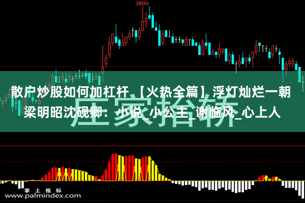散户炒股如何加杠杆 【火热全篇】浮灯灿烂一朝 梁明昭沈砚卿：小说_小公主_谢临风_心上人
