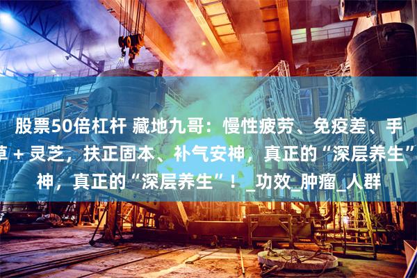 股票50倍杠杆 藏地九哥：慢性疲劳、免疫差、手术后元气大伤？虫草 + 灵芝，扶正固本、补气安神，真正的“深层养生”！_功效_肿瘤_人群
