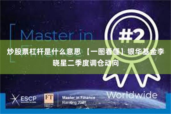 炒股票杠杆是什么意思 【一图看懂】银华基金李晓星二季度调仓动向