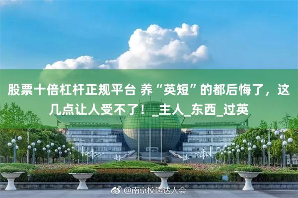 股票十倍杠杆正规平台 养“英短”的都后悔了，这几点让人受不了！_主人_东西_过英