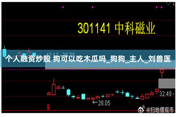 个人融资炒股 狗可以吃木瓜吗_狗狗_主人_刘兽医