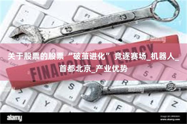 关于股票的股票 “破茧进化” 竞逐赛场_机器人_首都北京_产业优势