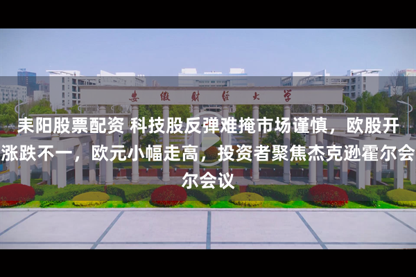 耒阳股票配资 科技股反弹难掩市场谨慎，欧股开盘涨跌不一，欧元小幅走高，投资者聚焦杰克逊霍尔会议